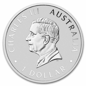 Australischer Schwan 2024 Silbermünze, 1 Unze (Farbe) Rückseite