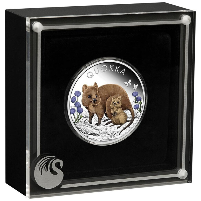 Quokka 2022 Color Proof Silbermünze, 1 Unze - Box 1 Quokka 2022 Color Proof Silbermünze, 1 Unze - Box 1