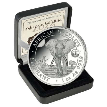 Somalischer Elefant 2024 ANA Silbermünze, 1 oz. Somalischer Elefant 2024 ANA Silbermünze, 1 oz.