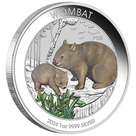 Srebrna Moneta Australian Wombat 2024, 1 uncja (kolor) - rewers
