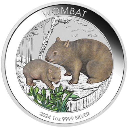 Srebrna Moneta Australian Wombat 2024, 1 uncja (kolor) - rewers