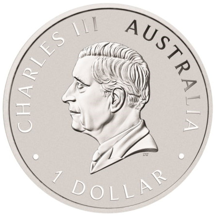 Australischer Wombat 2024 Silbermünze, 1 Unze - Vorderseite