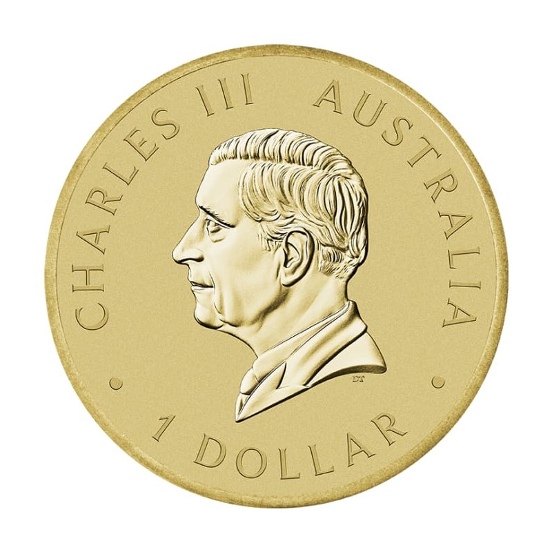 Copper-aluminium Australian Citizenship 2025,13.5gr (card) Copper-aluminium Australian Citizenship 2025,13.5gr (card)