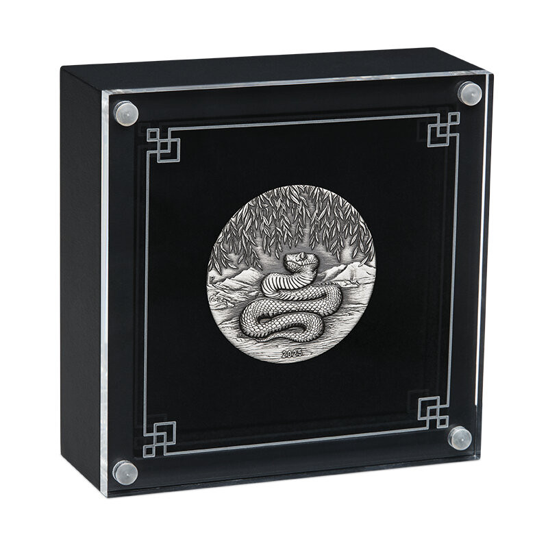 Srebrna Moneta Lunar III Rok Węża 2025 Antiqued, 1 uncja - box 1
