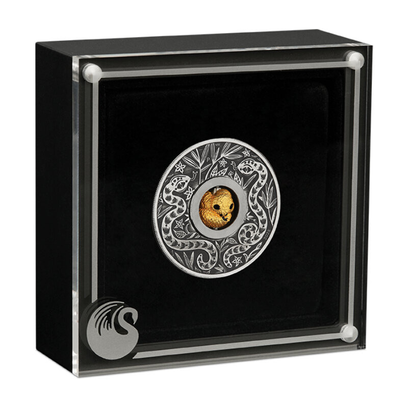 Srebrna Moneta Lunar III: Rok Węża 2025 Charm, 1 uncja - box 1