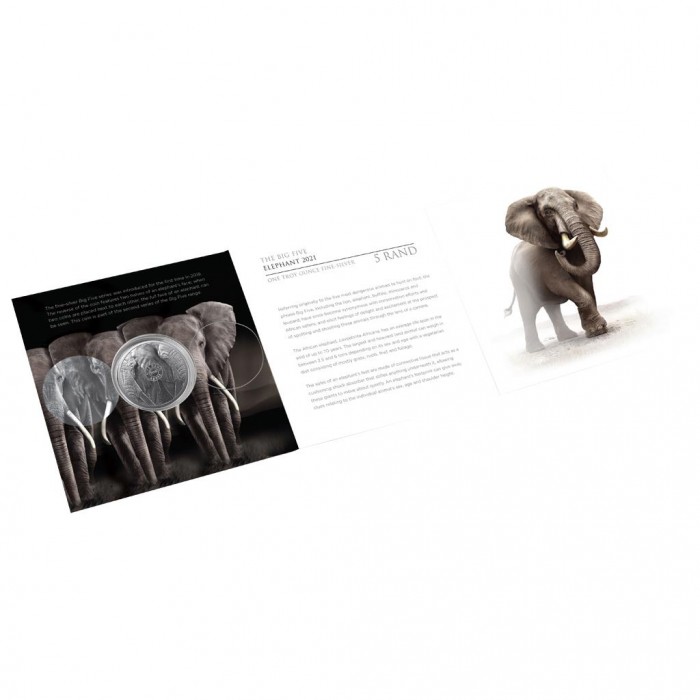 Big Five II: Elefant 2021, 1oz - Blister geöffnet
