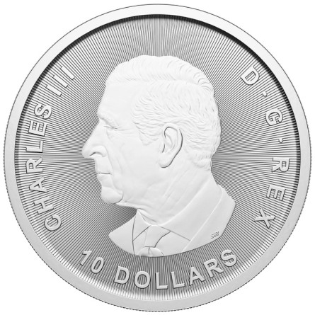 Srebrna Moneta Kanada Gęś 2oz 2025 - awers