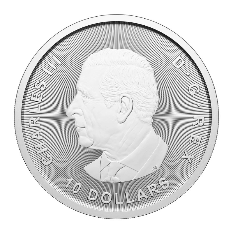 Srebrna Moneta Kanada Gęś 2oz 2025 - rewers