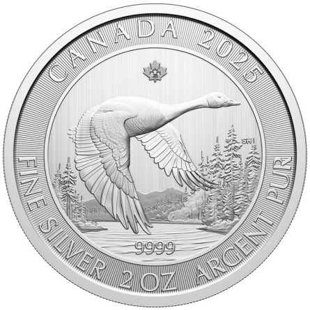 Srebrna Moneta Kanada Gęś 2oz 2025 - awers