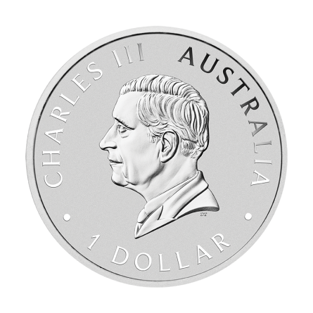 Srebrna Moneta Australijski Koala 2025 Color, 1 uncja ANDA - awers