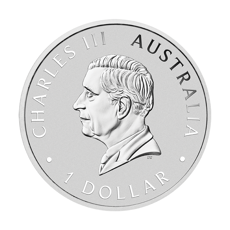 Srebrna Moneta Australijski Koala 2025 Color, 1 uncja ANDA - awers