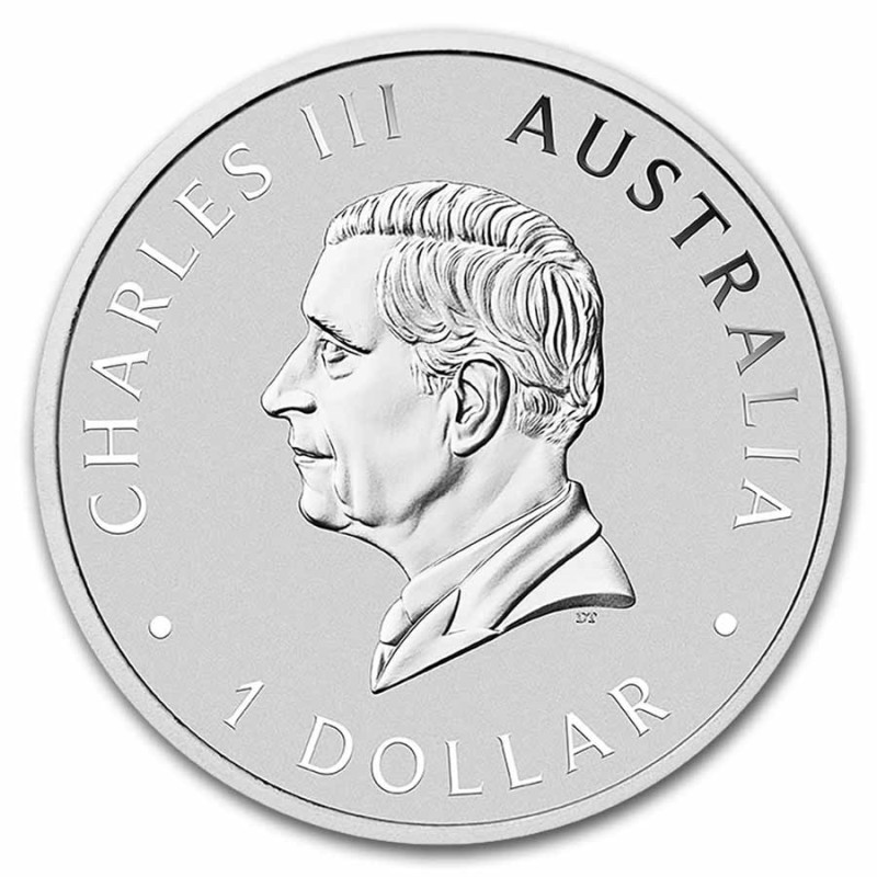Australischer Schwan 2025 Silbermünze, 1 Unze - Vorderseite Australischer Schwan 2025 Silbermünze, 1 Unze - Vorderseite