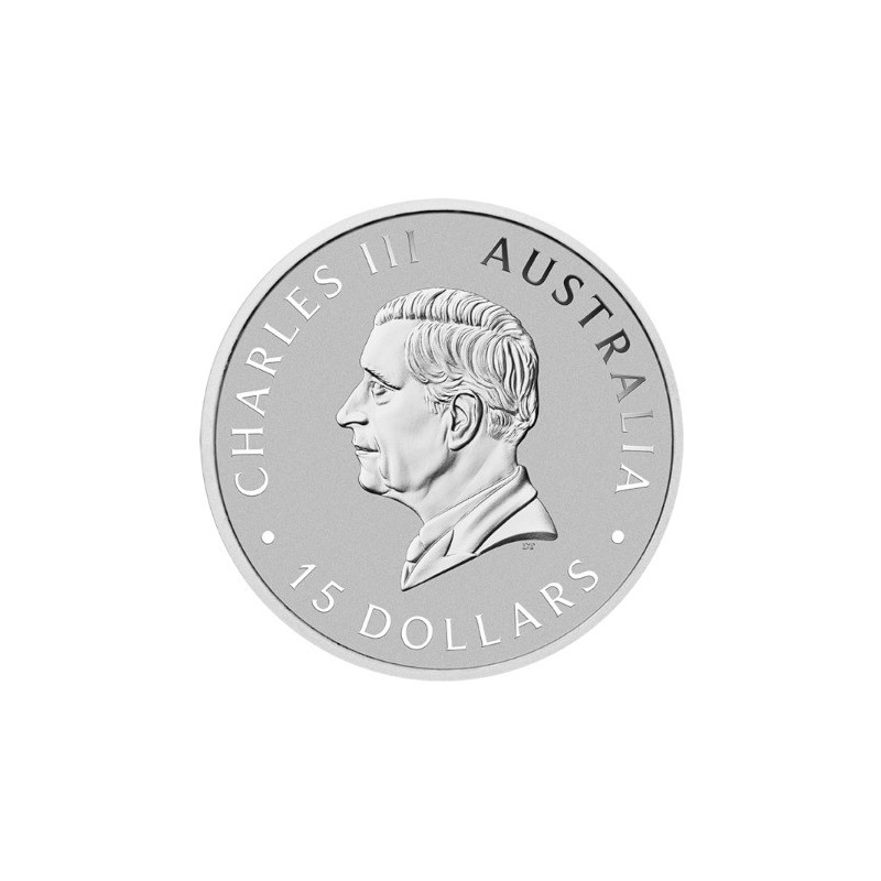 Australischer Kookaburra 2025 Platinmünze, 1/10 Unze - Vorderseite