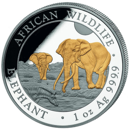 Srebrna Moneta Słoń Somalijski 2026 Gilded, 1 uncja - rewers