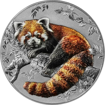 Srebrna Moneta Representatives of the Species: Red Panda 2025, 2 uncje - rewers