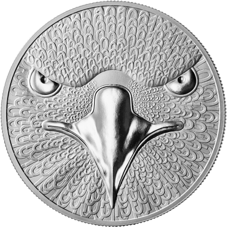 Srebrna Moneta United Crypto States: Binary Eagle 2026, 1 uncja - rewers