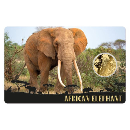 Złota moneta African Elephant 1/1000 uncji karta front