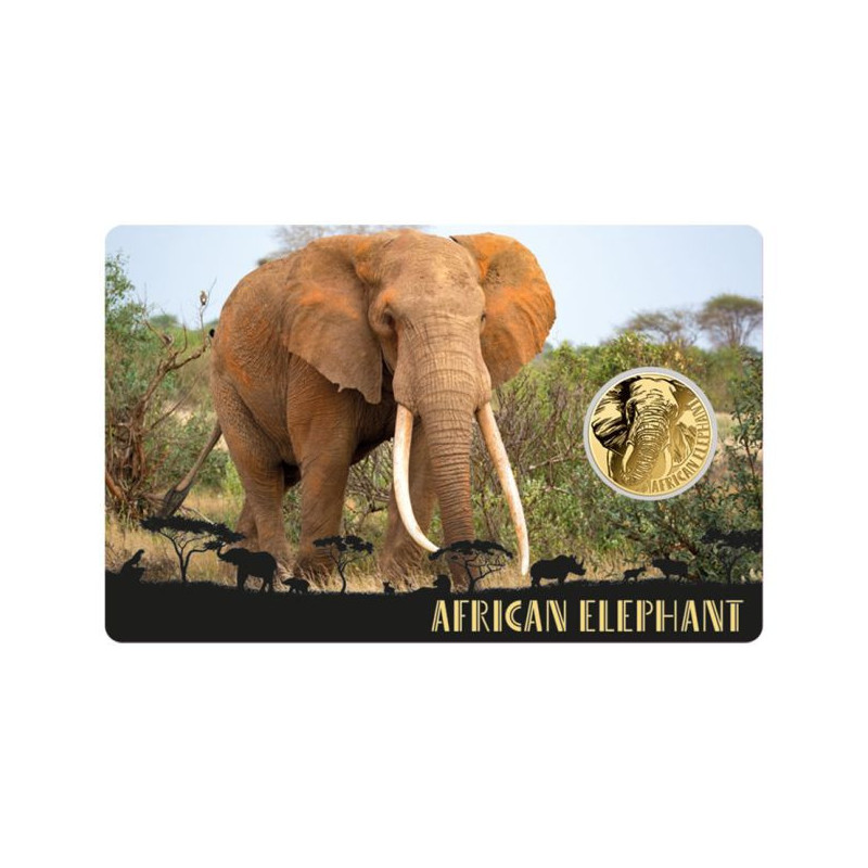 Złota moneta African Elephant 1/1000 uncji karta front