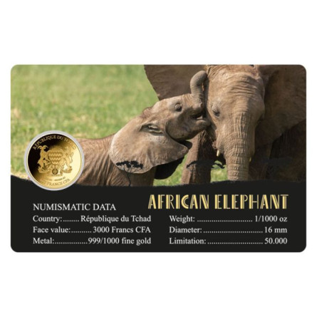 Złota moneta African Elephant 1/1000 uncji karta front