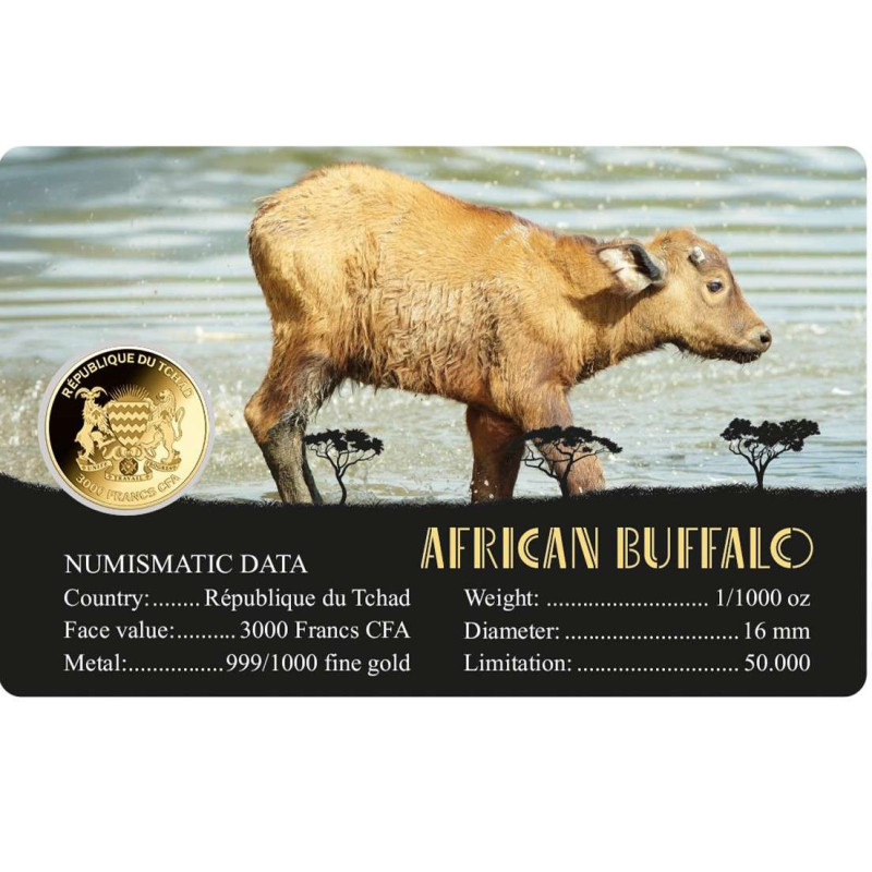 Goldmünze African Buffalo 1/1000 Unze Karte Rückseite Goldmünze African Buffalo 1/1000 Unze Karte Rückseite