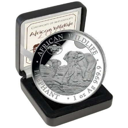 Srebrna Moneta Słoń Somalijski 2026 WMF, 1 uncja - rewers