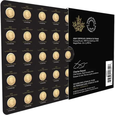 Złota Moneta Liść Klonu Maplegram 25 X 1g 2026