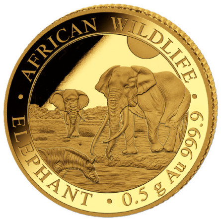 Złota Moneta Somalijski Słoń 2026, 0,5gr front