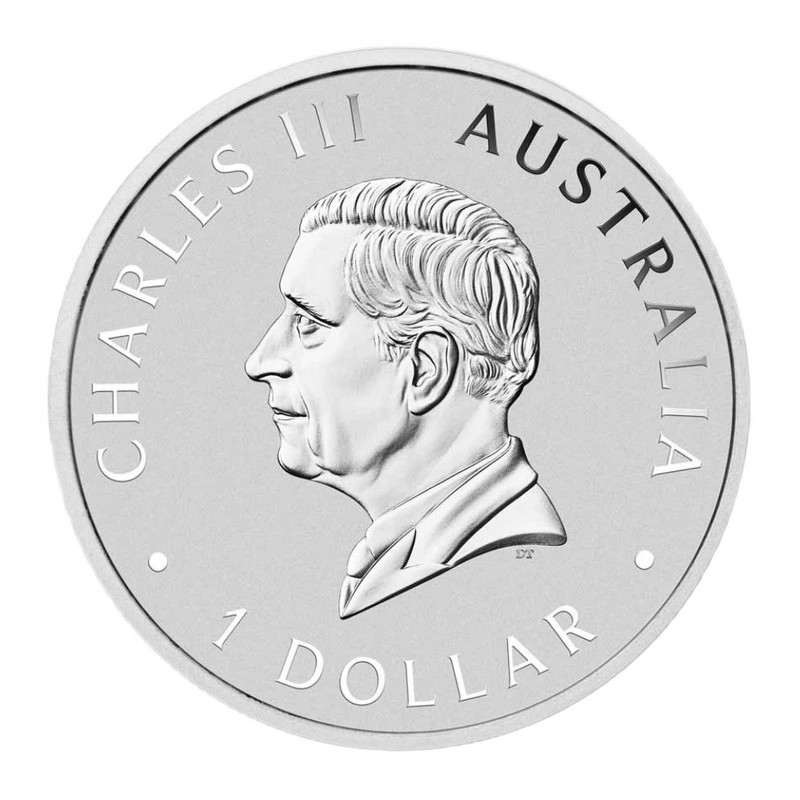 2026 Australian Swan Silver Coin (Color), 1 oz – Obverse
