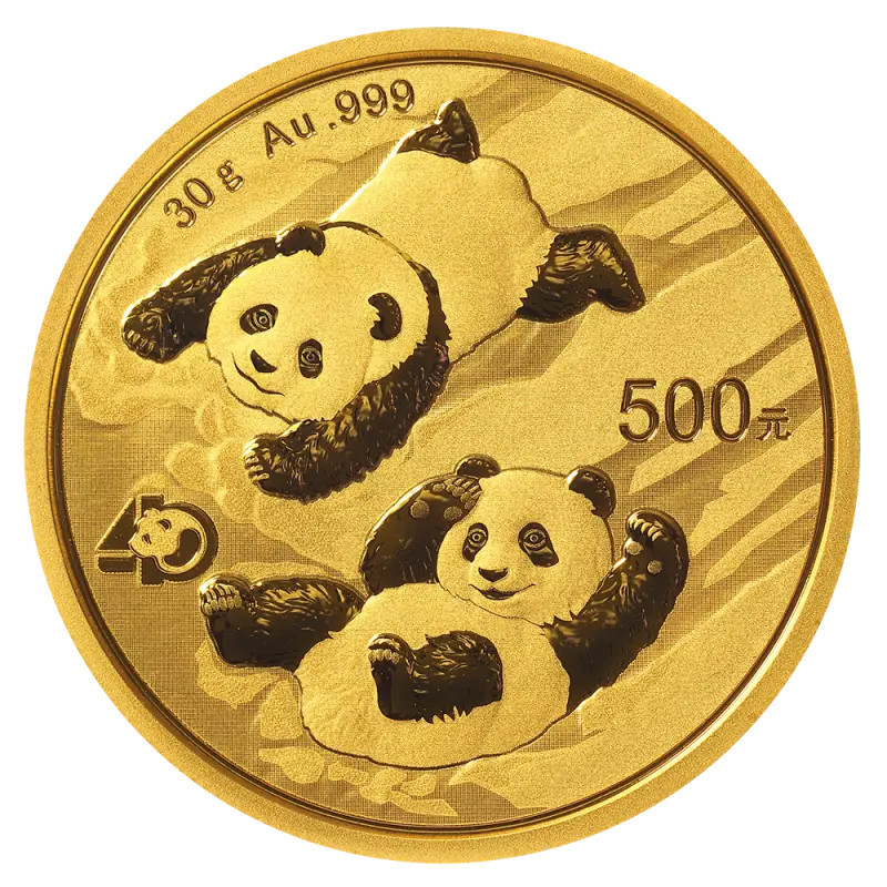 Złota Moneta Chińska Panda 2022, 30g