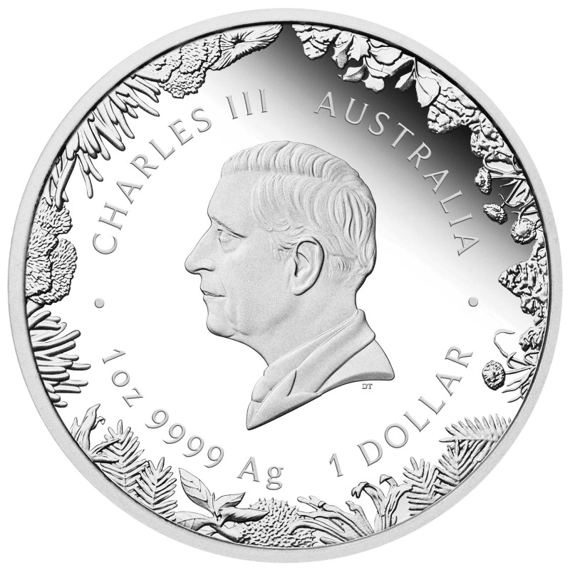 Silbermünze „Wonders of Australia: The Outback“ 2026 Proof, 1 Unze Silbermünze „Wonders of Australia: The Outback“ 2026 Proof, 1 Unze
