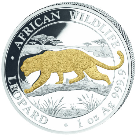 Srebrna Moneta: African Wildlife: Leopard 2026 Gilded, 1 uncja - rewers