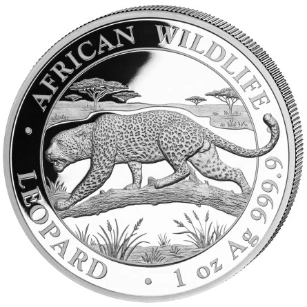 Silbermünze: „African Wildlife: Leopard 2026“, 1 Unze, Vorderseite