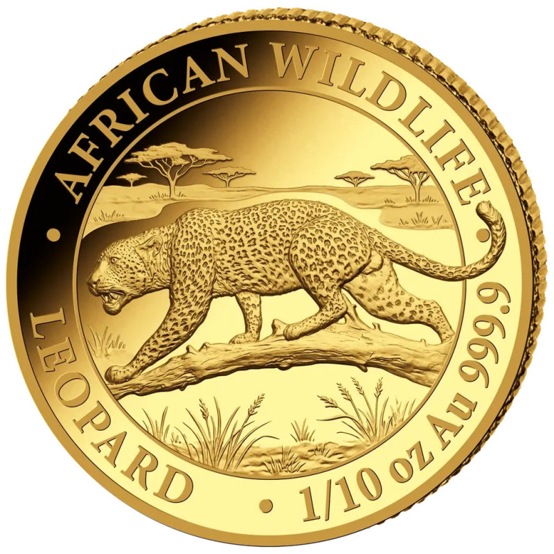 Złota Moneta: African Wildlife: Leopard 2026, 1/10 uncji front