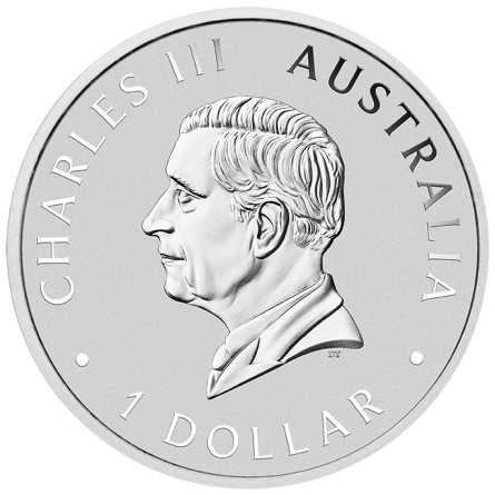 Срібна монета «Australian Emu 2026 Color», 1 унція — реверс