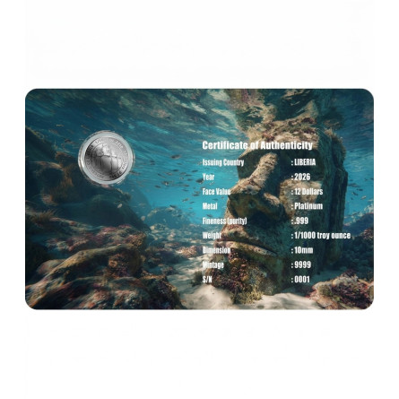 Platinum Coin in the Moai 2026 Card, 1/1000 ounce - front of card