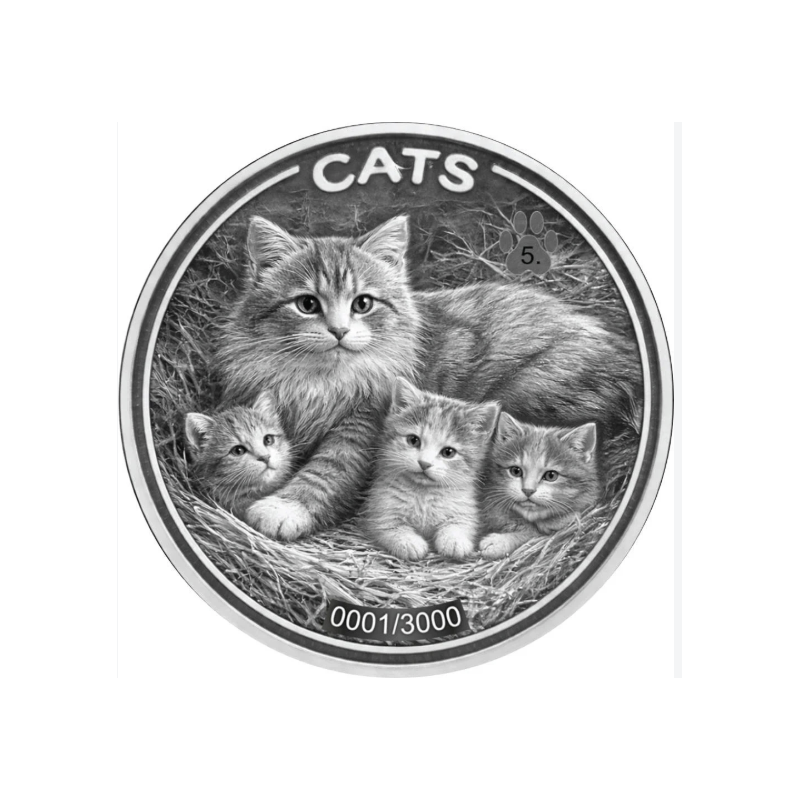 Srebrna Moneta Fiji, Cats 2026, 1 uncja rewers
