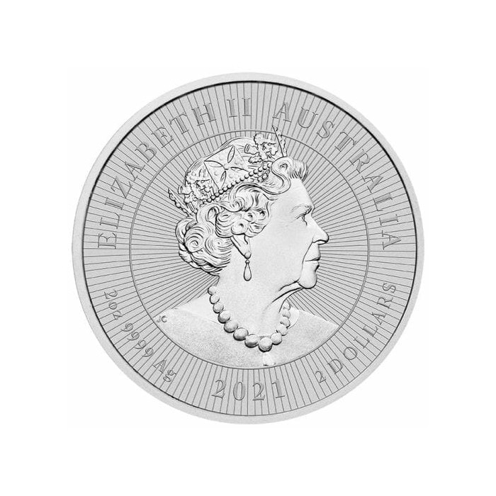 Mother and Baby silver coin: Platypus 2021, 2 oz - obverse Mother and Baby silver coin: Platypus 2021, 2 oz - obverse