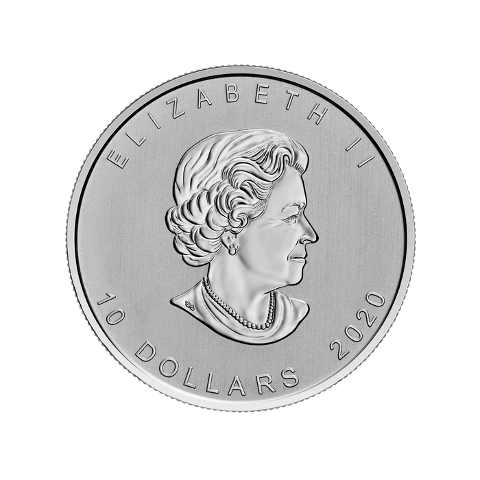 2020 Gänse-Silbermünze, Kanada, 2 Unzen.