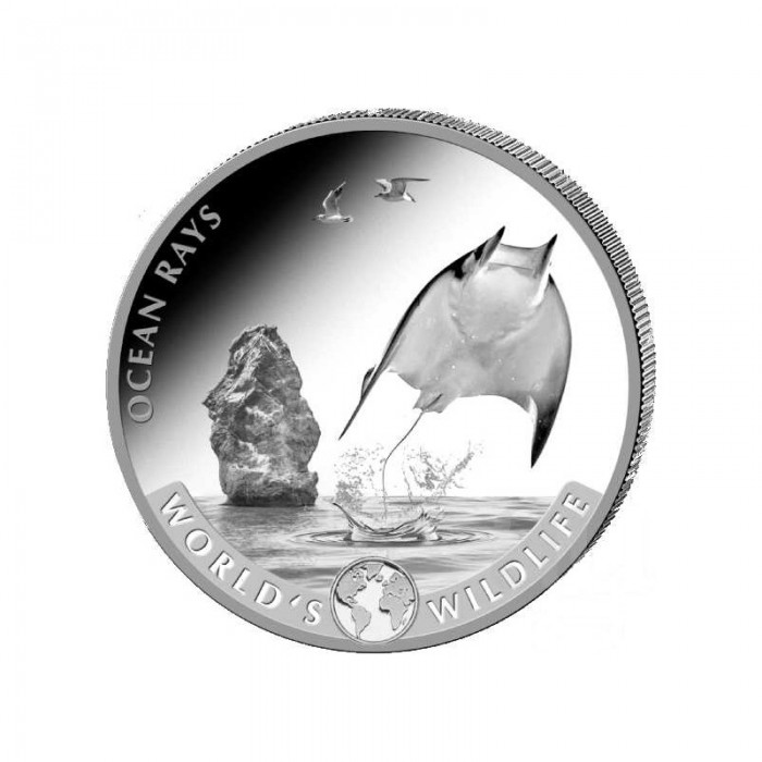Srebrna Moneta World‘s Wildlife: The Ray 2023, 1 uncja - rewers Srebrna Moneta World‘s Wildlife: The Ray 2023, 1 uncja - rewers