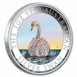 Australischer Schwan 2023 Silbermünze, 1 Unze (Farbe) Rand