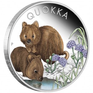 Срібна кольорова монета Quokka 2023, 1 унція - реверс