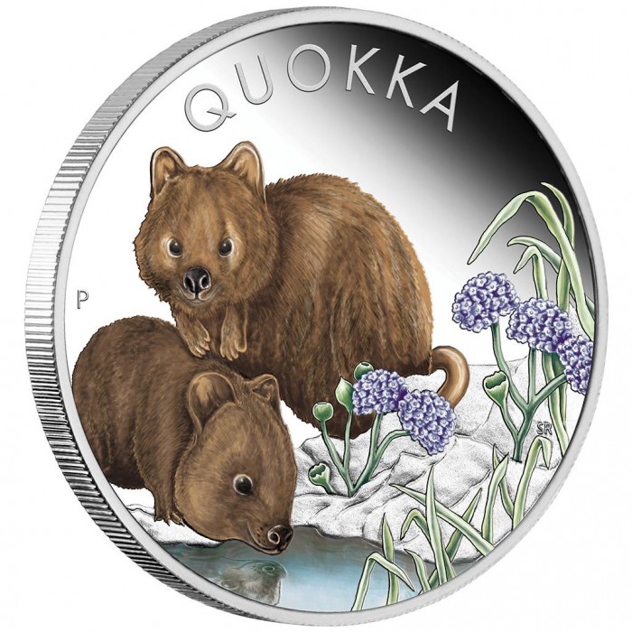 Srebrna Moneta Quokka 2023 Color, 1 uncja - edge Srebrna Moneta Quokka 2023 Color, 1 uncja - edge