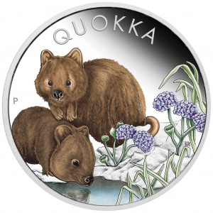 Silber Quokka 2023 Farbmünze, 1 Unze - Rückseite