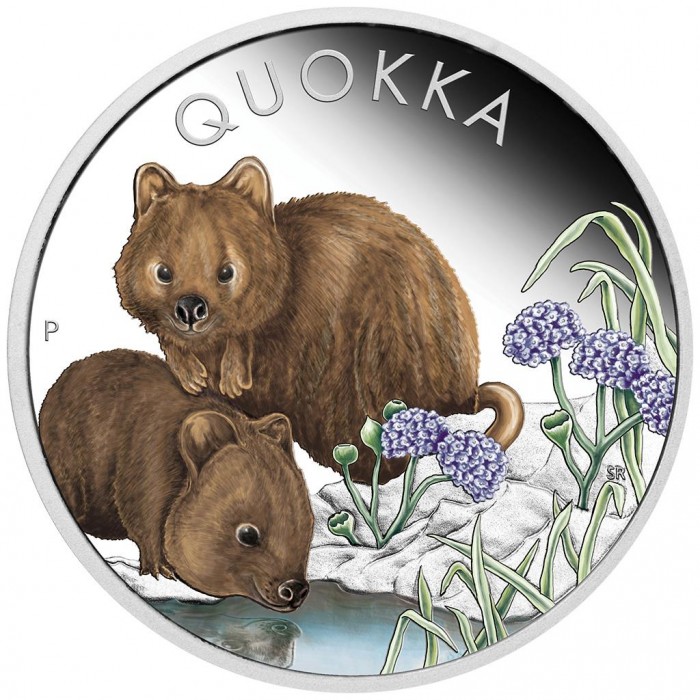 Quokka 2023 Color Silver Coin, 1 oz - reverse side Quokka 2023 Color Silver Coin, 1 oz - reverse side