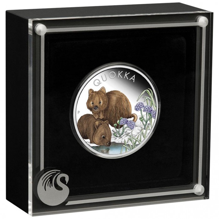Srebrna Moneta Quokka 2023 Color, 1 uncja - box1 Srebrna Moneta Quokka 2023 Color, 1 uncja - box1