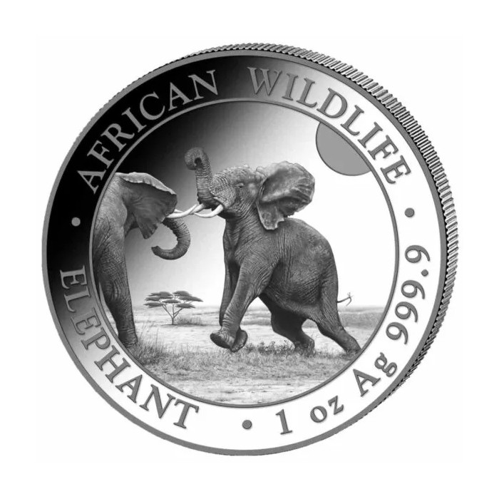 Somali Elephant 2024 Silver Coin, 1 oz - reverse side